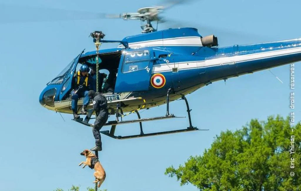 chien-et-GIGN-2-Eric Thirion