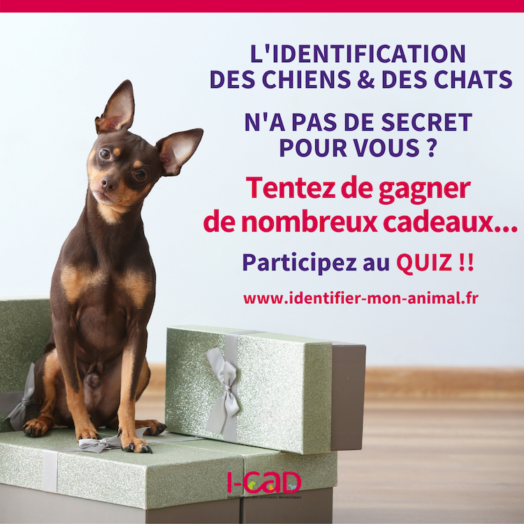 Quiz I-CAD identification : encore 2 jours pour jouer !