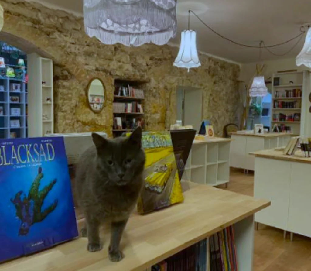 librairie_mon_chat_pitre