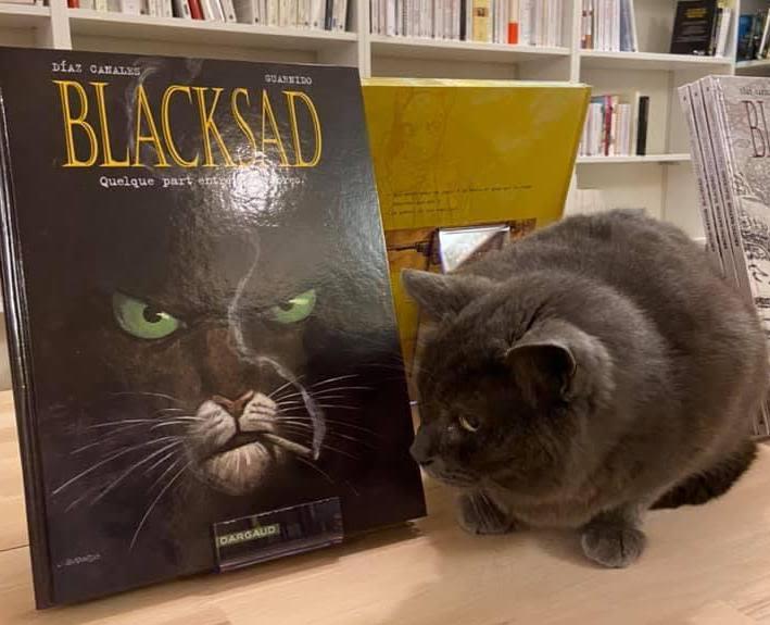 Après les bars à chats, une « ronron librairie » en France