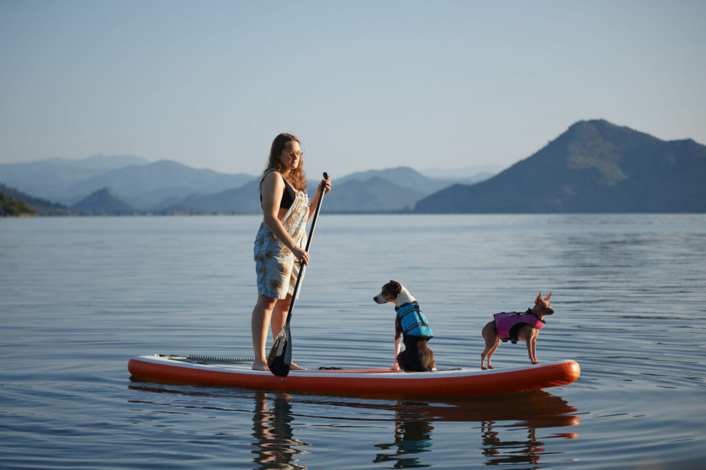 cani paddle chien
