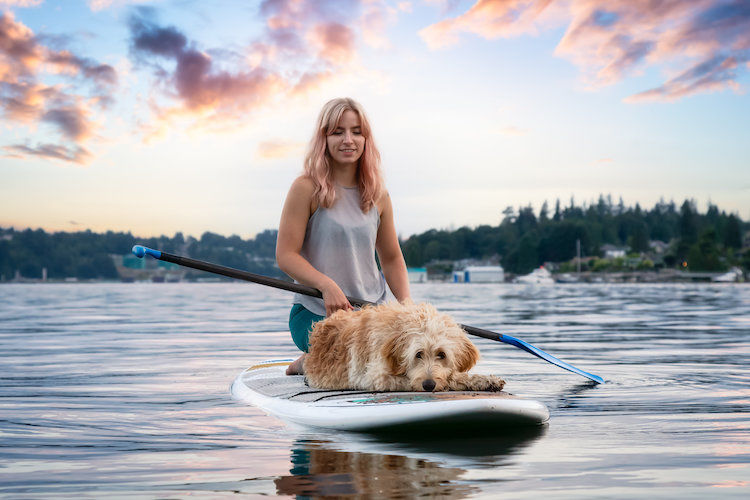 Activité : comment faire du cani paddle avec son chien ?
