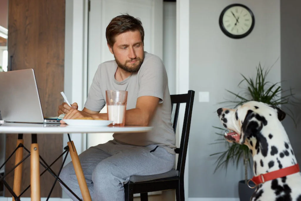 chien_calme_teletravail