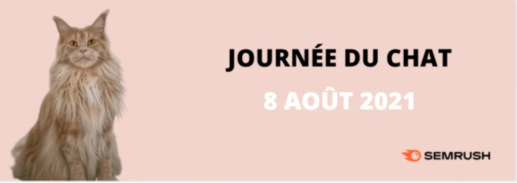 classement_races_de_chats_maine_coon_Semrush_google.fr