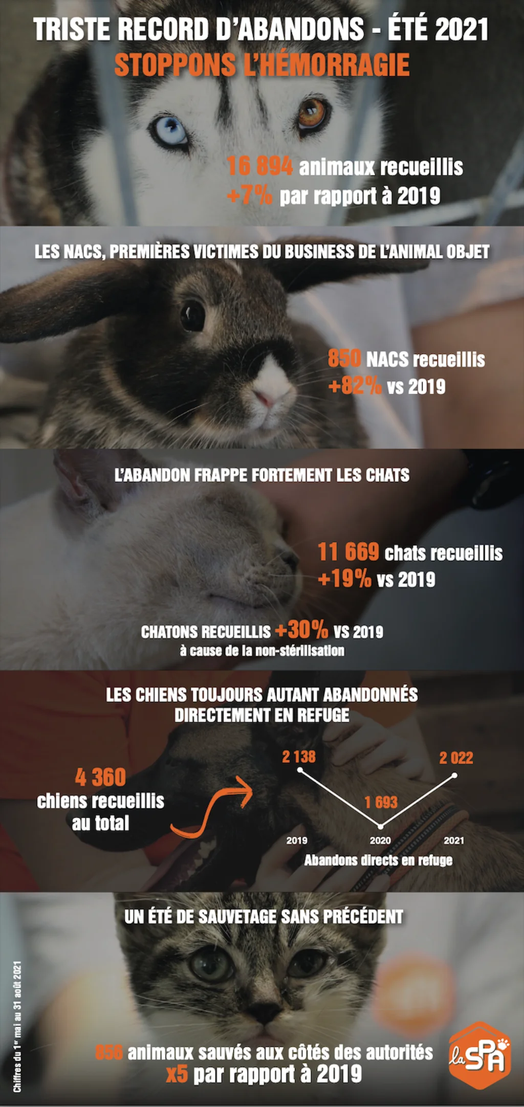 Bilan_abandons_chiens_chats_NAC_ete 2021