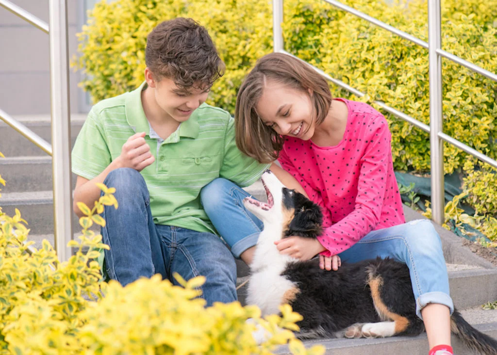 berger_australien_et_enfants