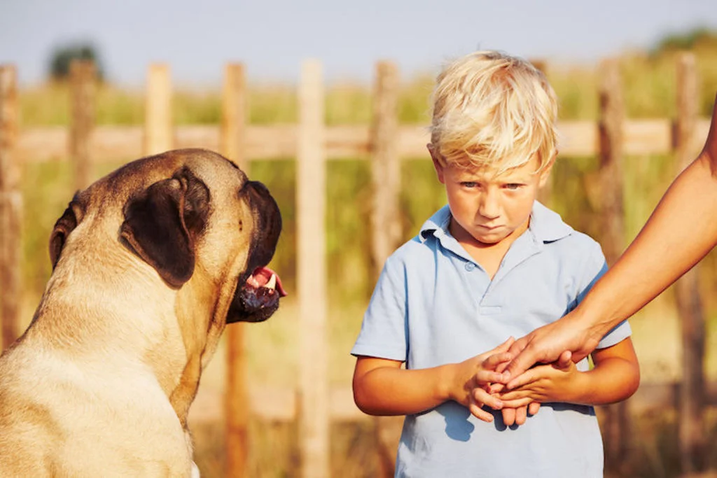 chien_et_enfant_peur