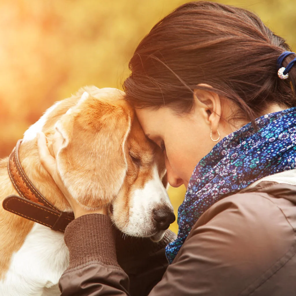 cancer_du_sein_recherche_scientifique_chiens_renifleurs