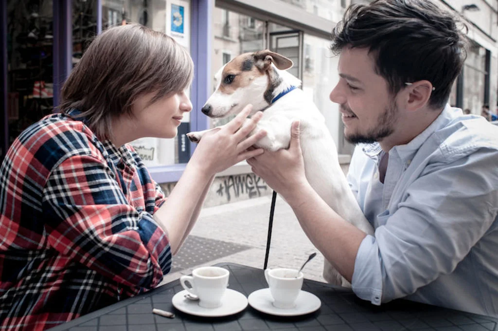 chien_accepte_dans_les_bars
