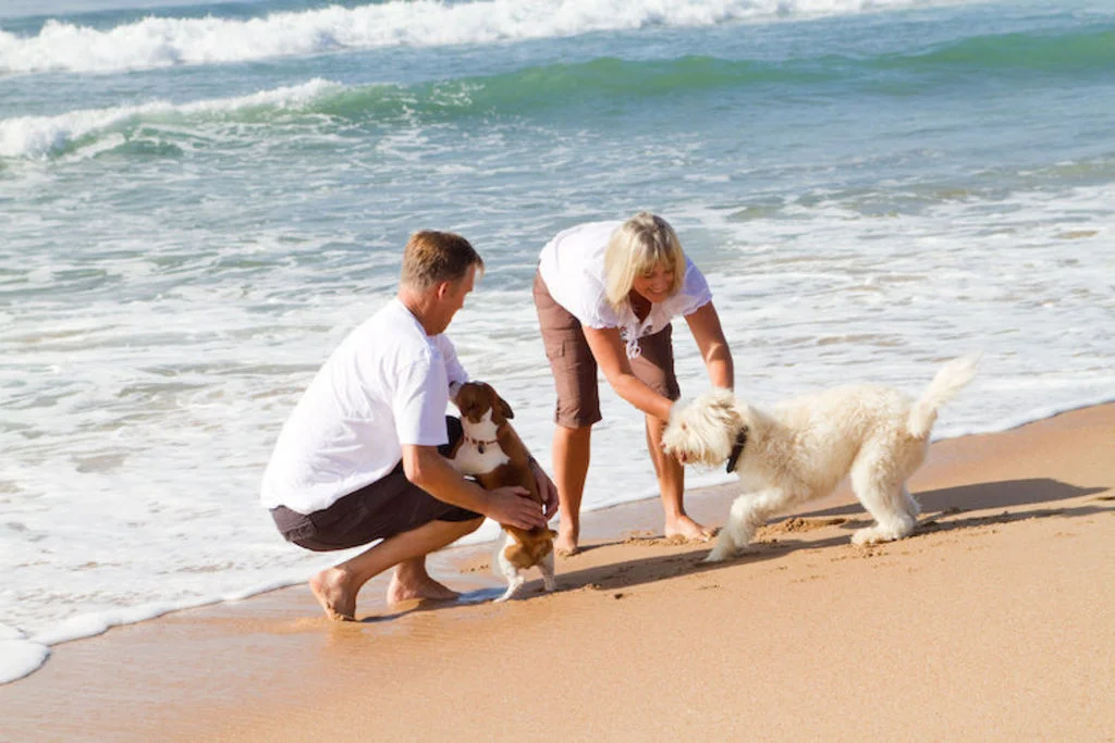 chien_en_vacances