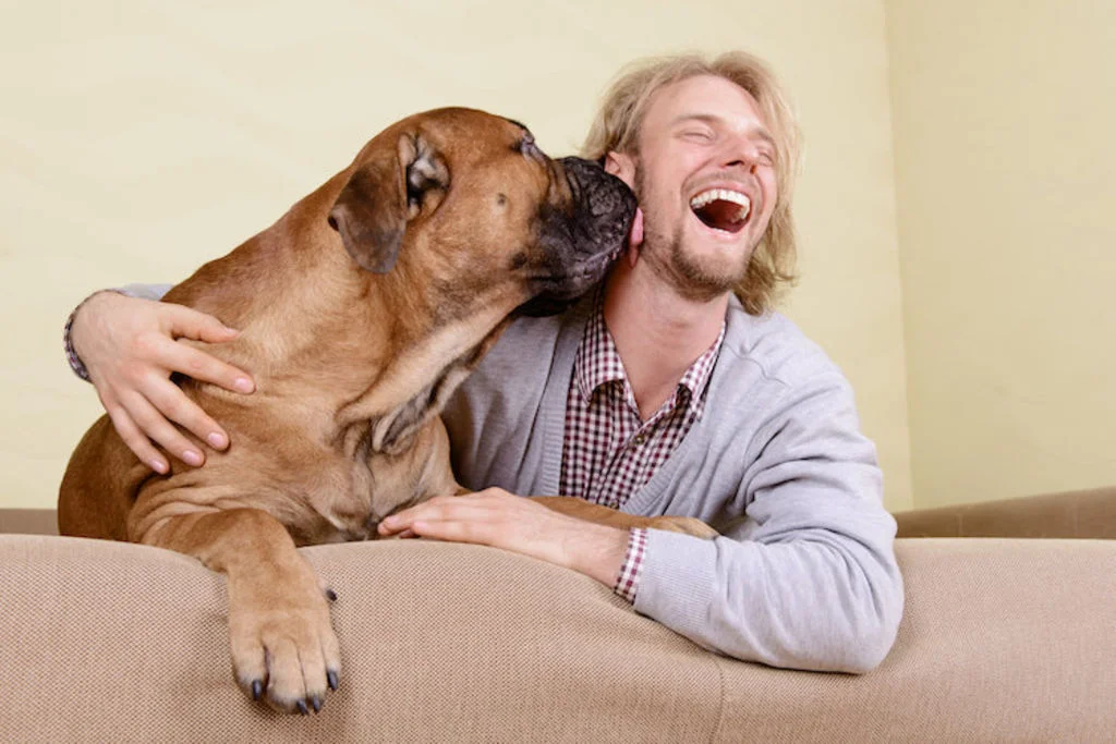 chien_lechouilles