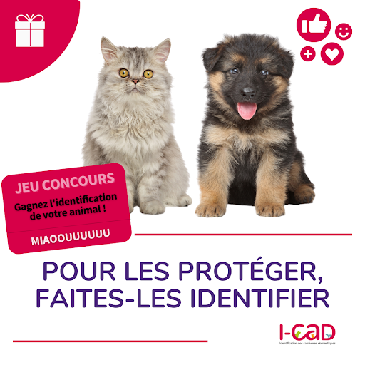 Concours I-CAD : vos frais d’identification remboursés