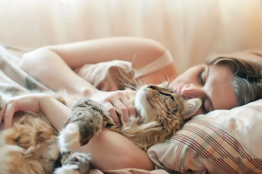 dormir_avec_son_chat