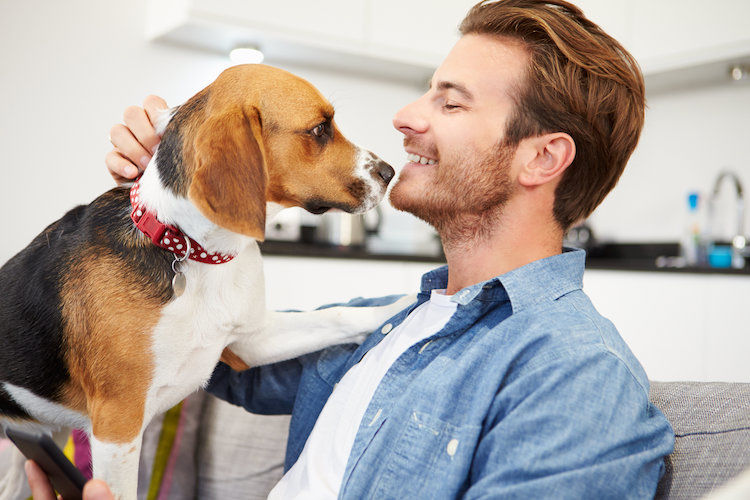 Qu’est-ce qu’être un bon maître pour son chien ?