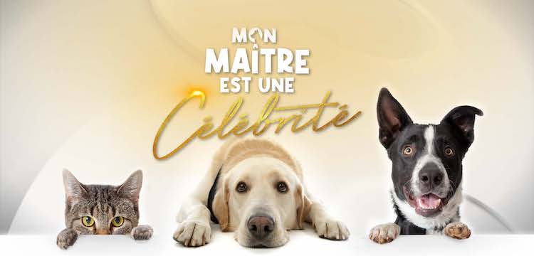 Programme TV : Mon maître est une célébrité