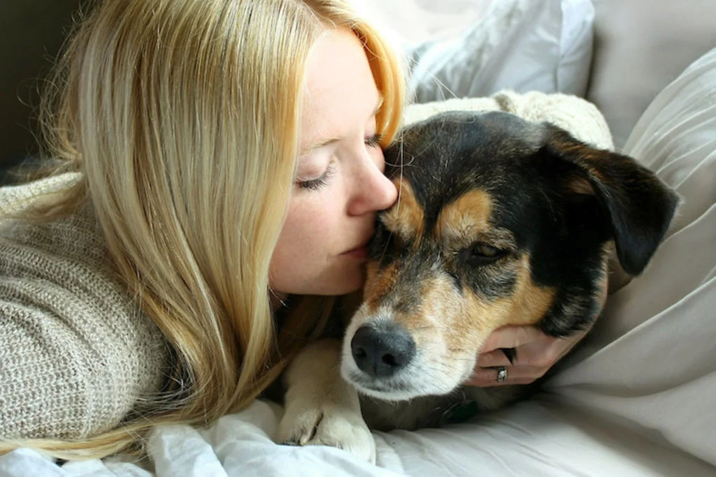 vieillesse_du_chien