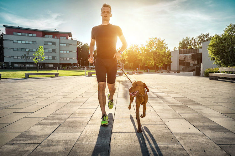 Est-il facile d’avoir un chien ou un chat en ville ?
