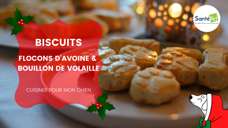 Biscuits pour chien flocons d’avoine bouillon de volaille