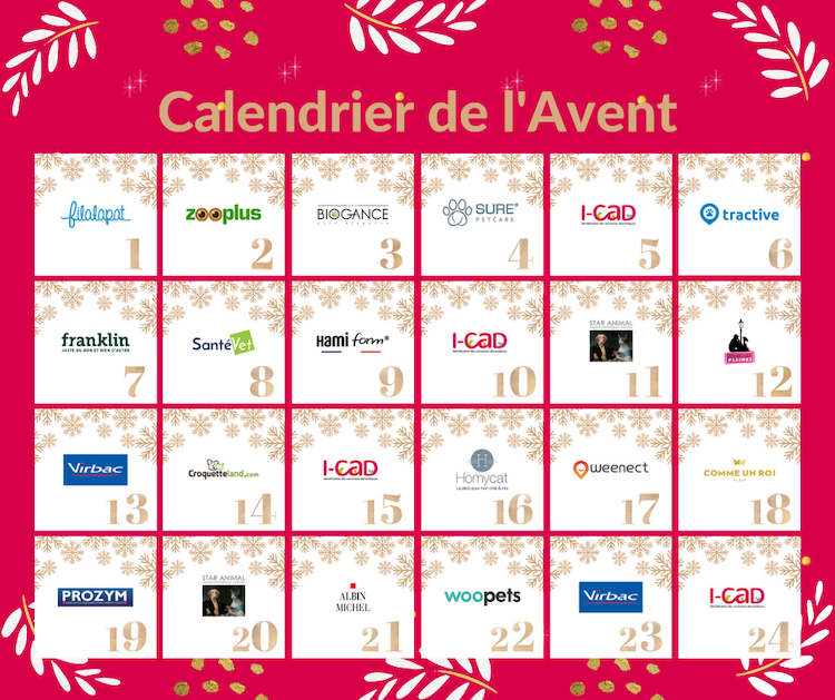 Gagnez des lots avec le calendrier de l’Avent de l’I-CAD