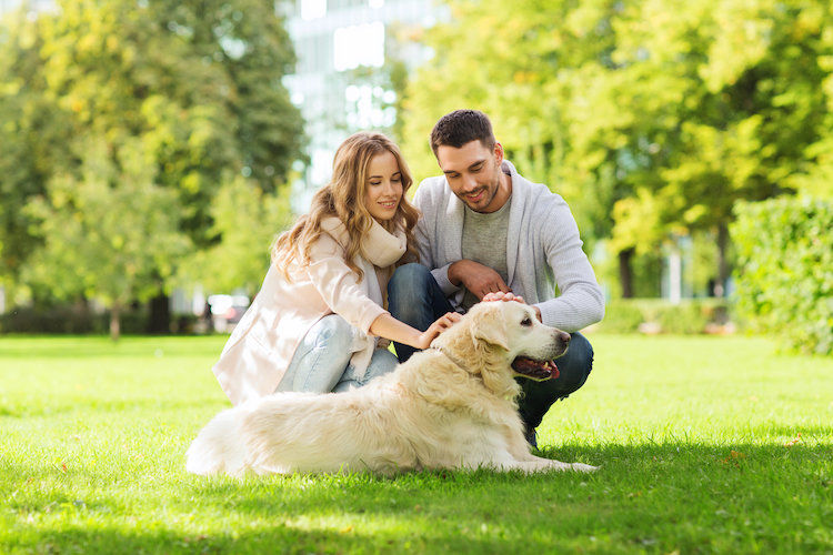 Les chiens et chats préférés des Français depuis 10 ans