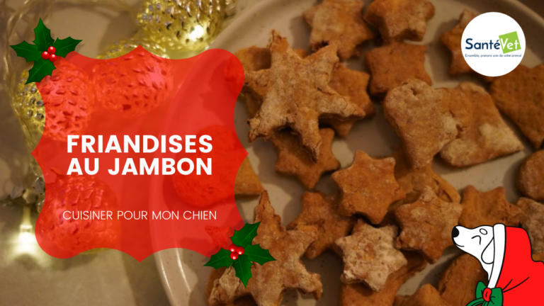 Des friandises au jambon pour mon chien