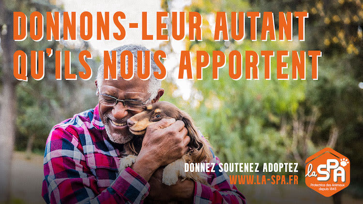 Adoption, maltraitance: nouveau site Internet pour la SPA