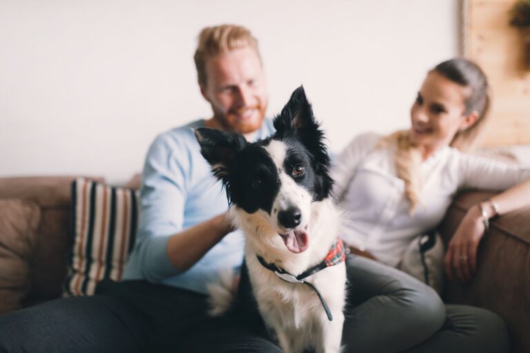 Nouvel an : top 5 des bonnes résolutions avec mon animal