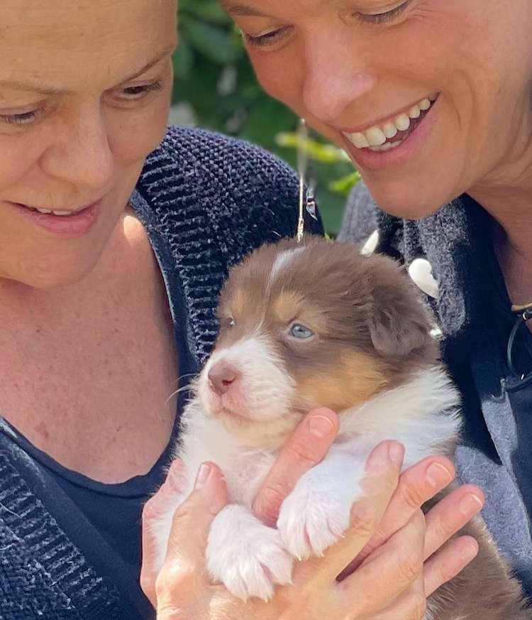 Muriel Robin et son chien : à la ville comme à l’écran