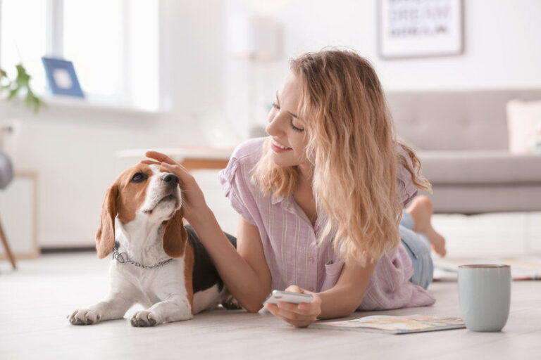 Comment choisir son assurance chien ?