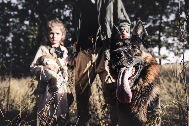 Ukraine : retour des réfugiés et de leurs chiens et chats