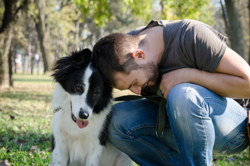 sterilisation_chien_bienfaits