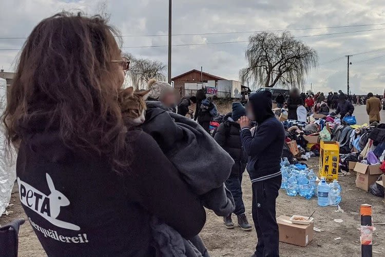Ukraine : PETA au secours de la population et des animaux