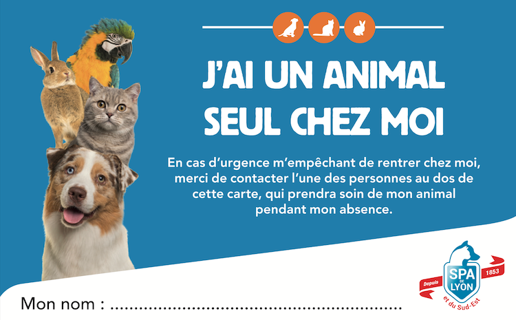 Kit pour les propriétaires d&rsquo;animaux se retrouvant isolés