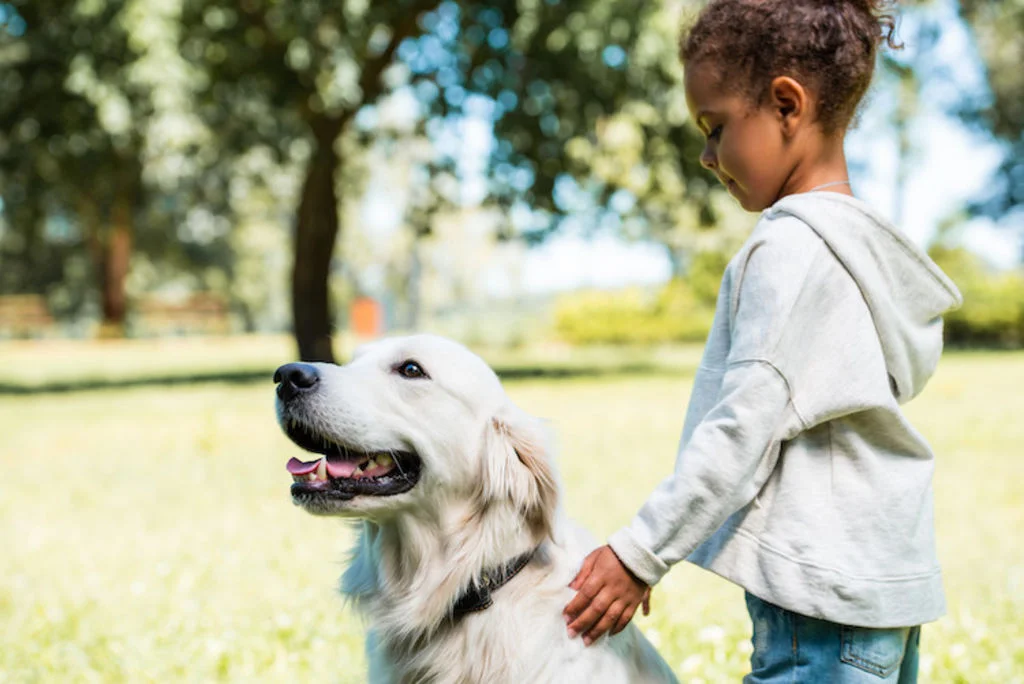 chien et enfant diabetique