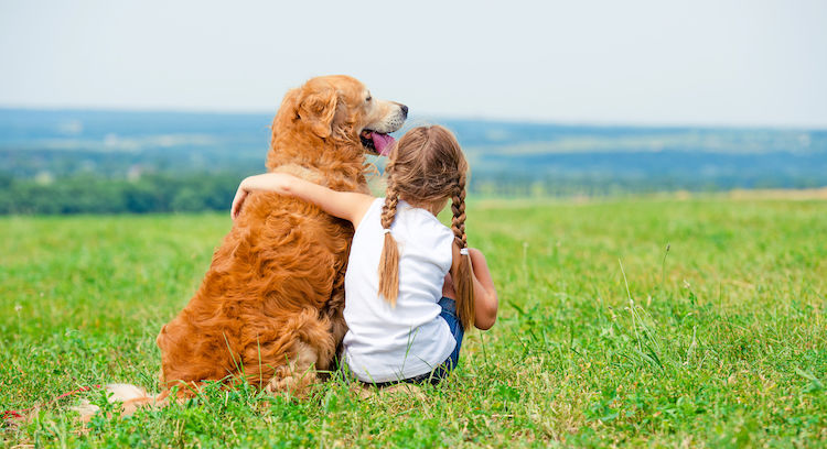 Journée mondiale du diabète et chiens d’assistance