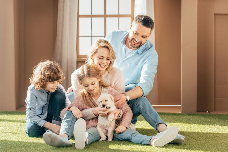 3 conseils essentiels pour bien accueillir votre chiot