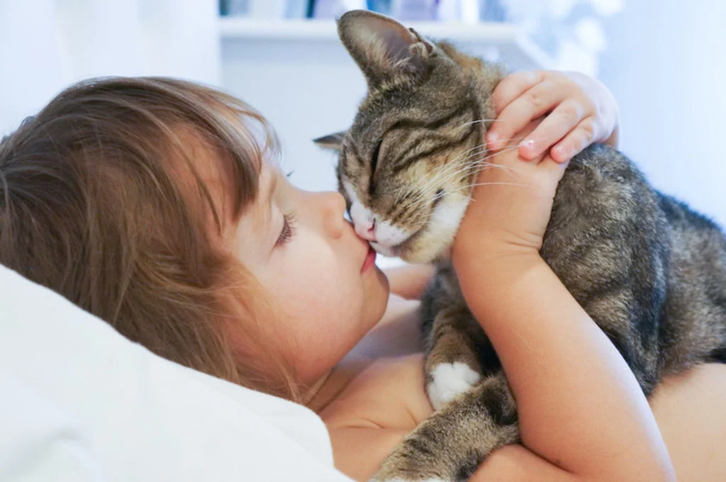 enfant et allergie chat