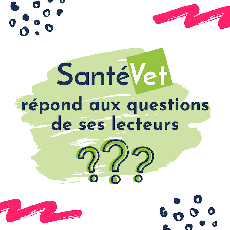 SantéVet Mag : les réponses à toutes vos questions