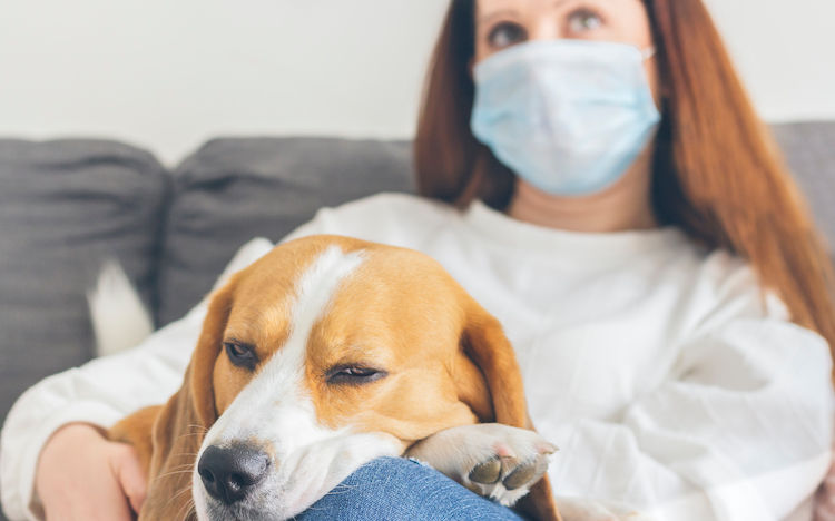 Variole du singe : quel risque pour les chiens et chats ?