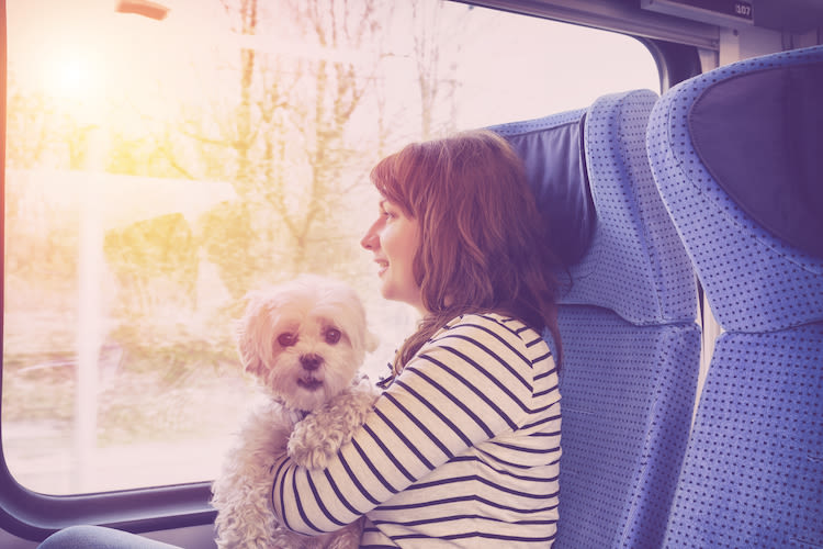 SNCF : un tarif unique pour voyager avec son animal