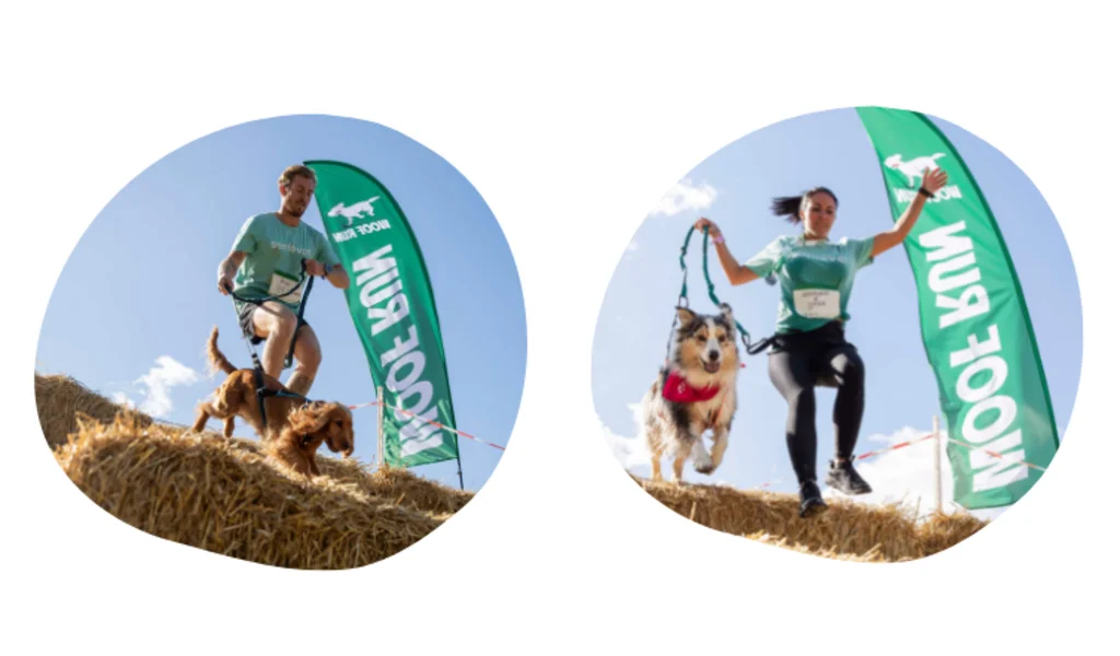 Sant&eacute;Vet Woof Run 2022 13