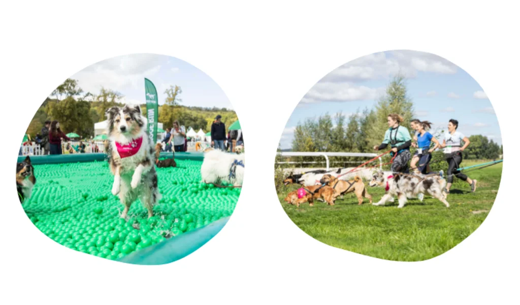 Sant&eacute;Vet Woof Run 2022 9