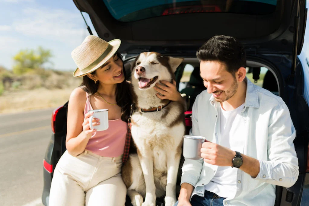 voyage_voiture_chien_pause