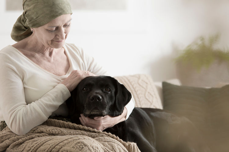 Un parasite du chien pour lutter contre des cancers