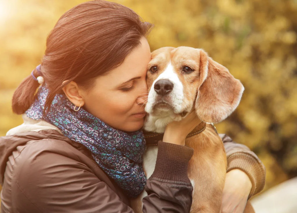 vieux_chien_malade_garantie_deces