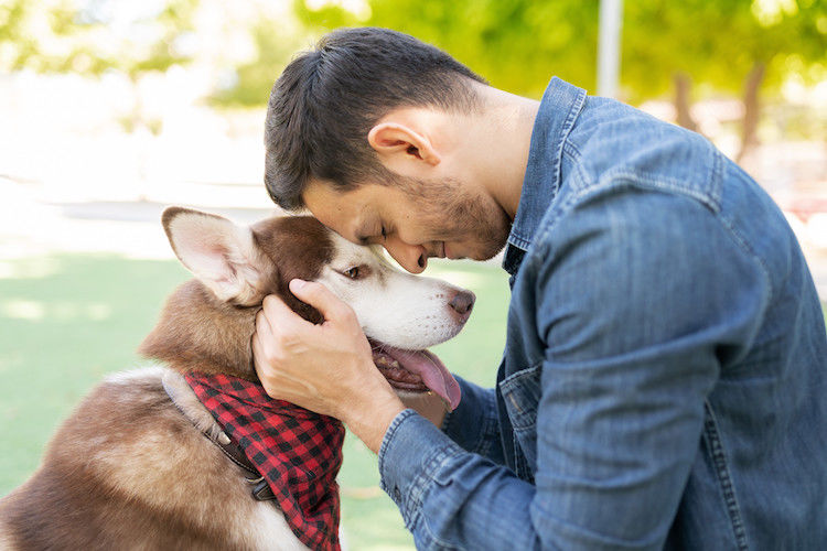 Comment faire pour dire « je t&rsquo;aime » à mon chien ?
