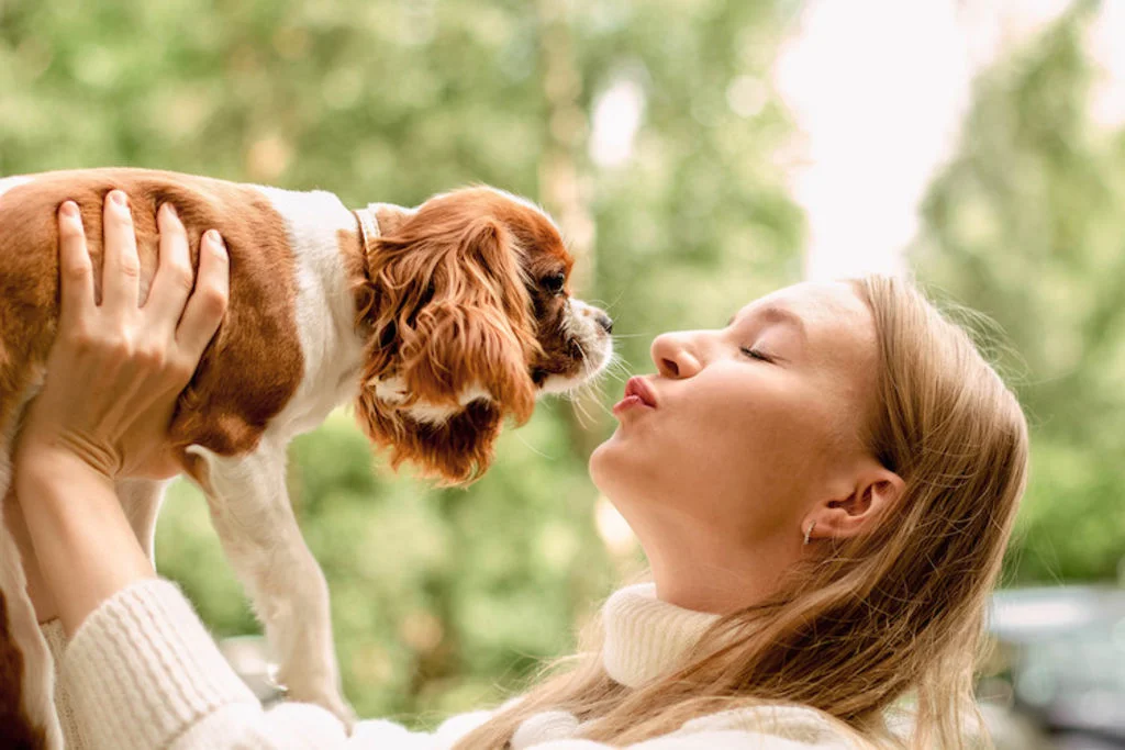 4 Comment_dire_je_t _aime_a_mon_chien