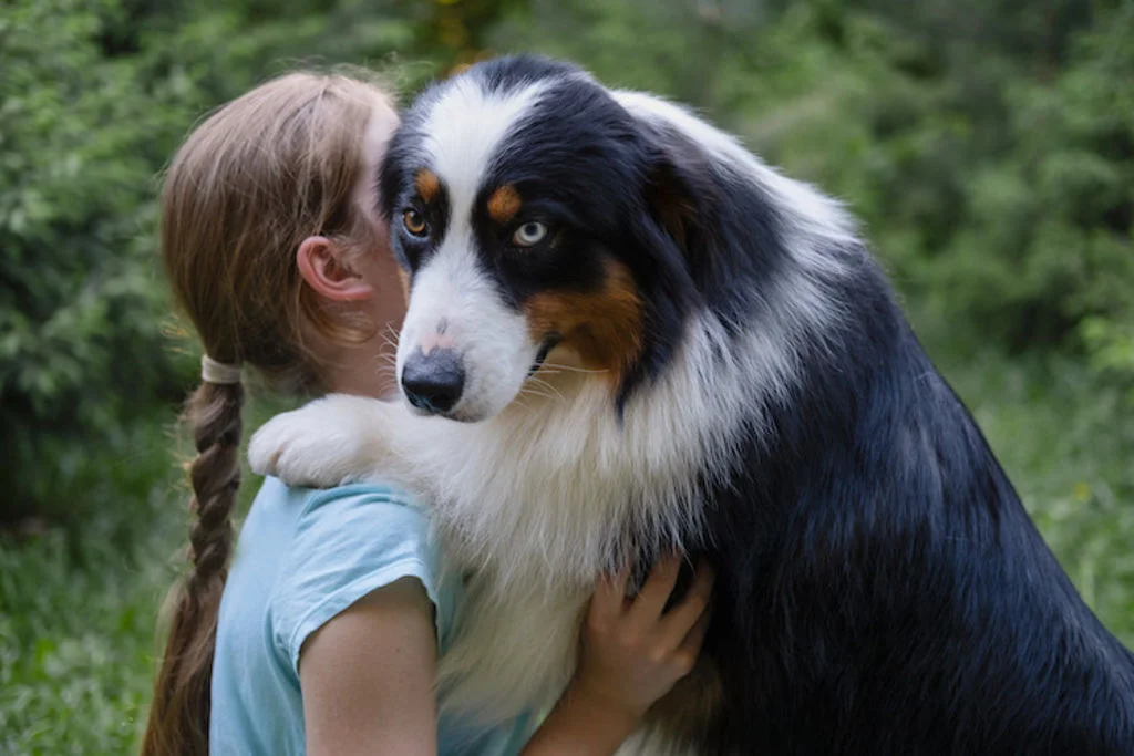 5 Comment_dire_je_t _aime_a_mon_chien