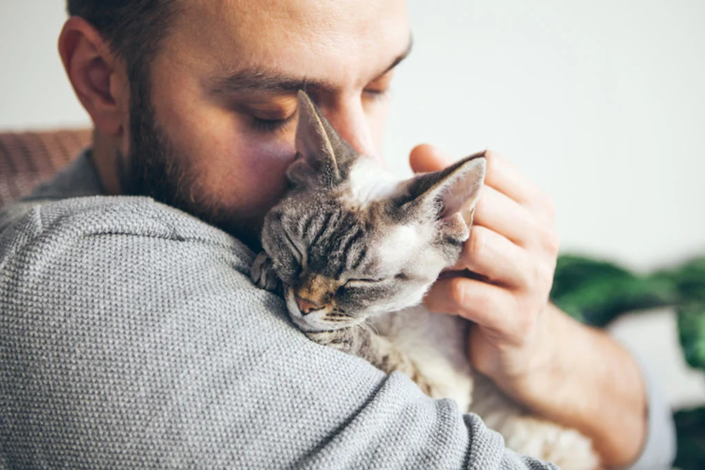 chat heureux avec son maitre