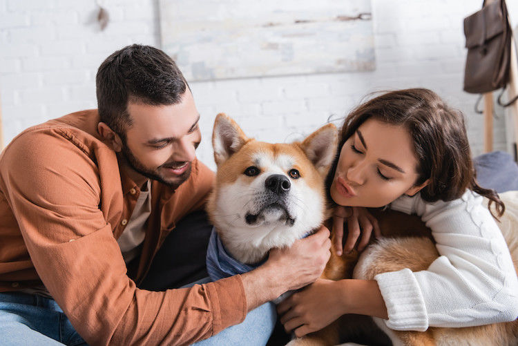 Mon chien peut-il tomber amoureux ?